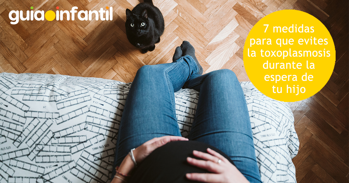 Medidas contra la toxoplasmosis