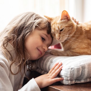 Actividades sobre gatos para niños - Manualidades, cuentos y chistes