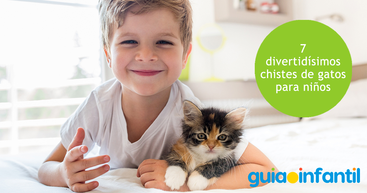 Chistes de gatos para niños