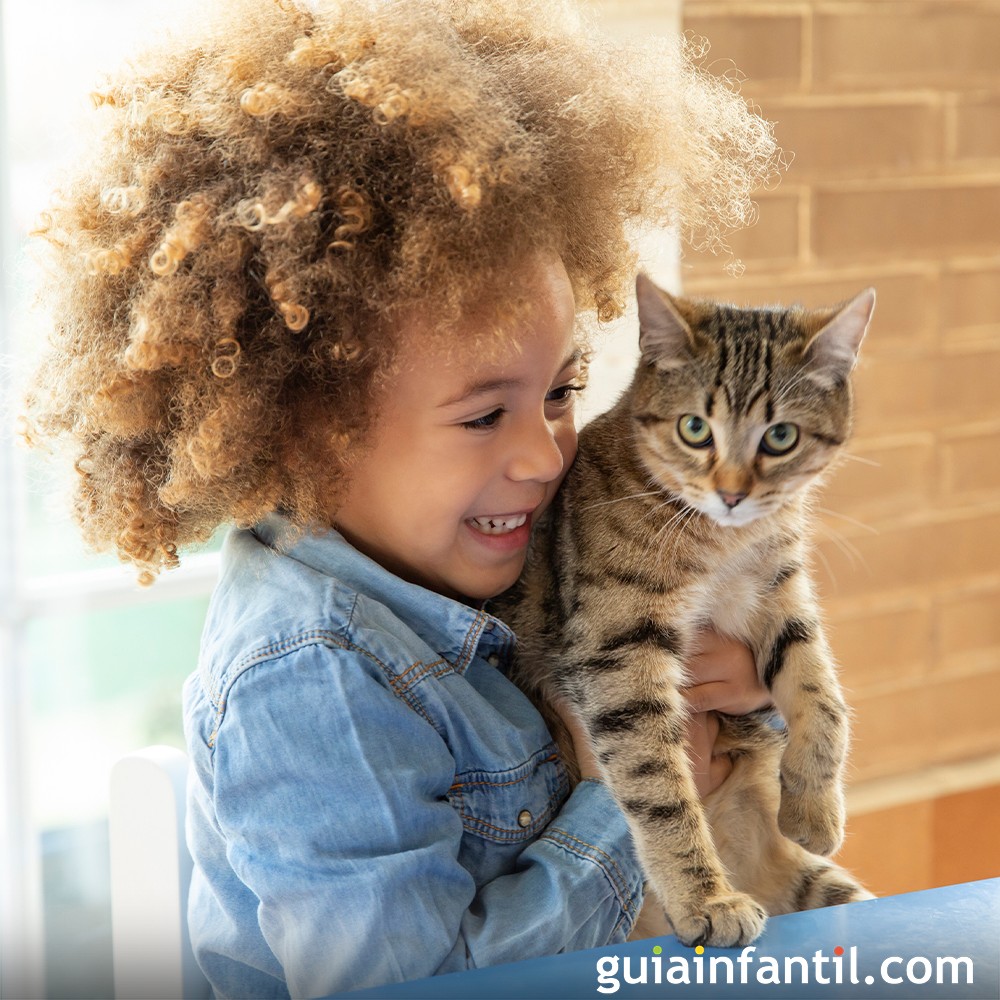 cumpleaños gato con pastel. ilustración ai generativo 23902284 Foto de  stock en Vecteezy, image size:1000x1000