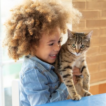 Lindas frases de gatos para los niños amantes de los felinos