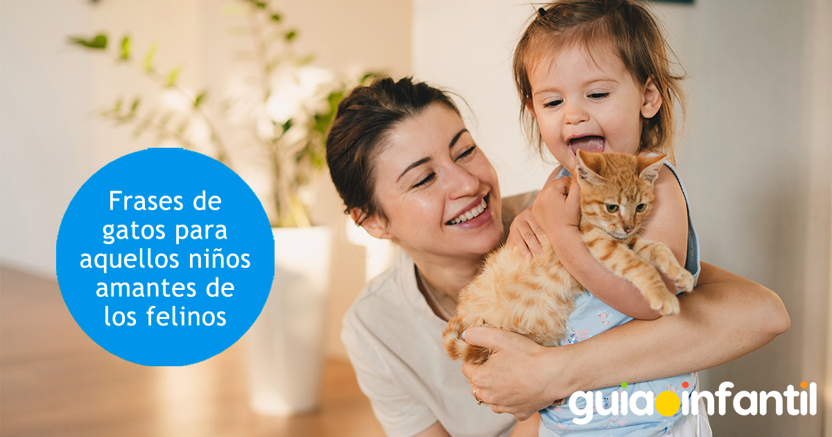 Frases de gatos para niños