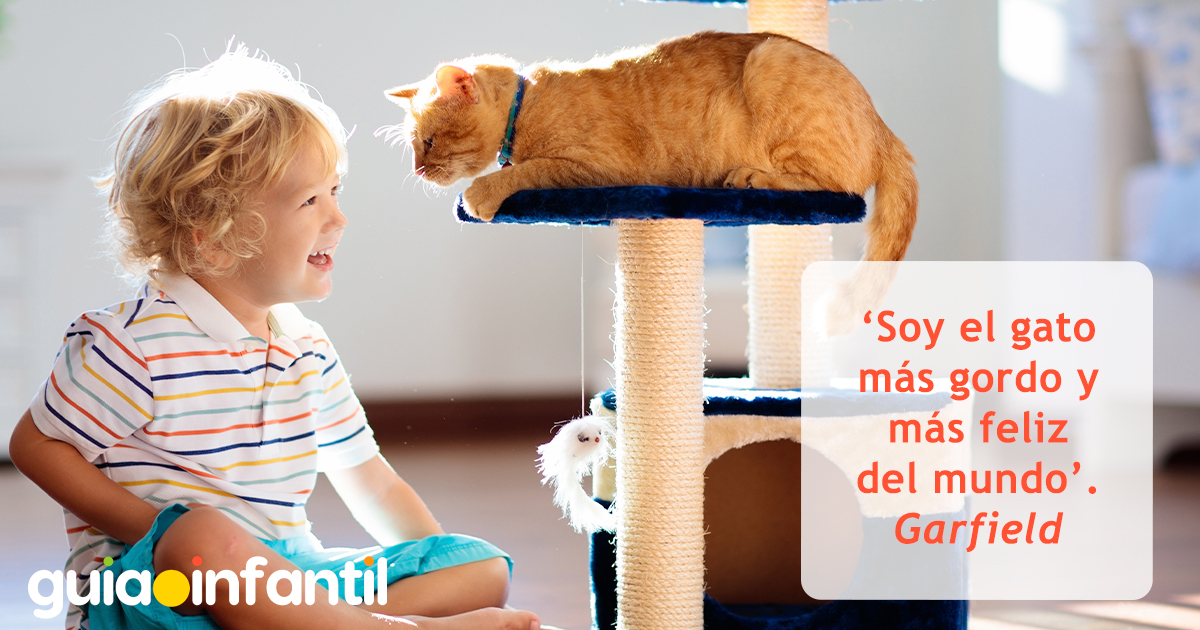 Frases de gatos famosos para niños