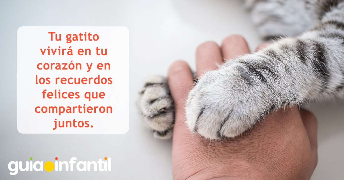 Frases por una mascota que murió