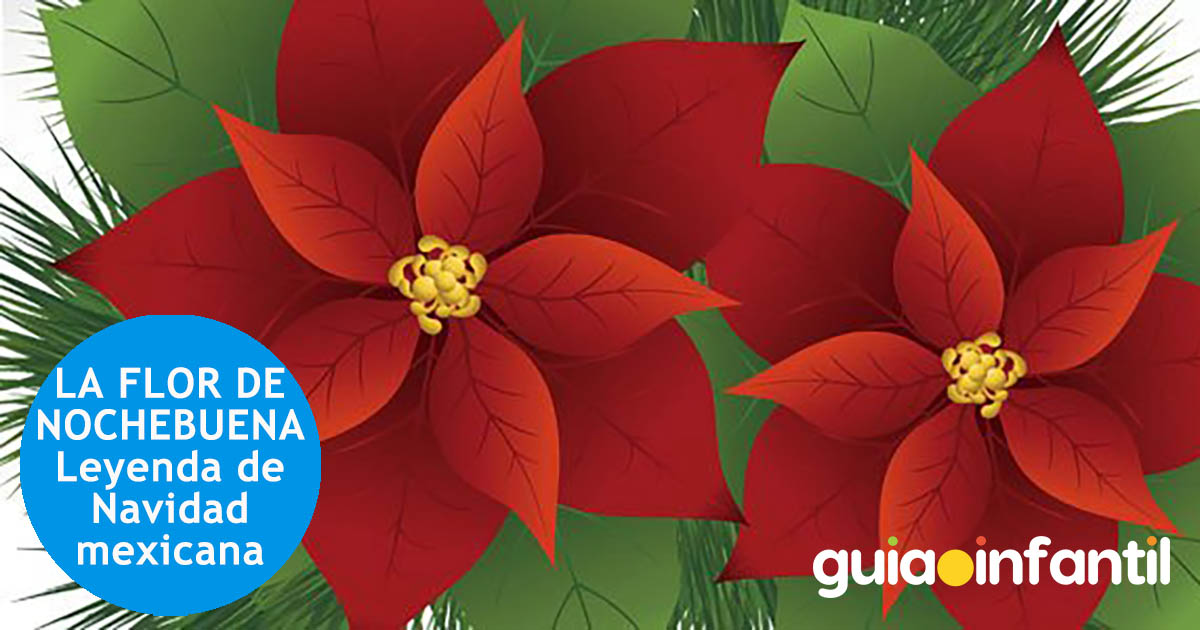 flor de nochebuena, leyenda mexicana infantil