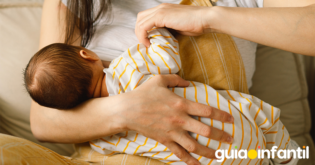 Alimentos durante la lactancia
