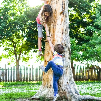 24 ejemplos de solidaridad que los niños pueden entender y aplicar diario