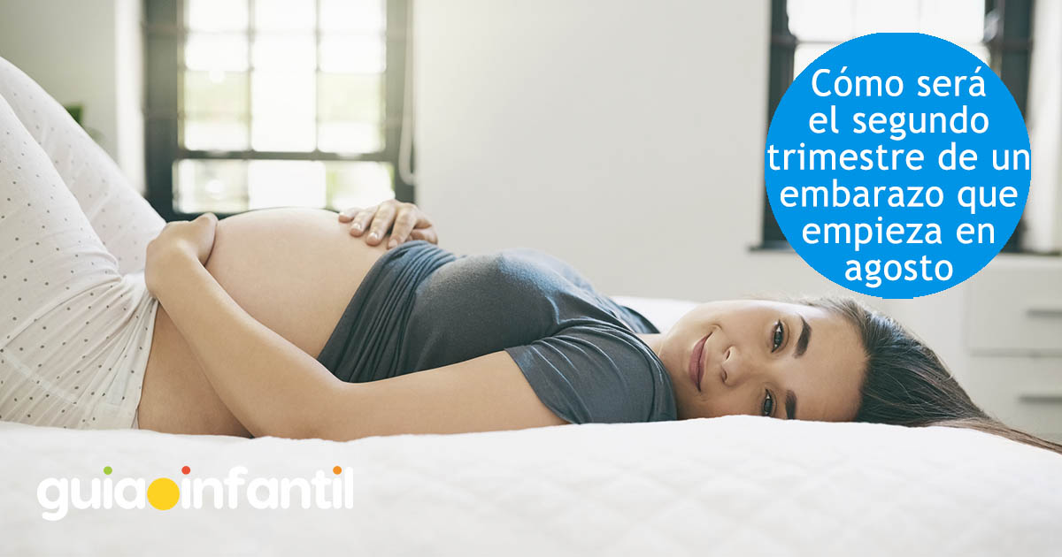 segundo trimestre de un embarazo que empieza en agosto