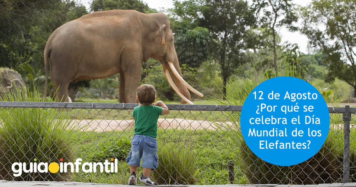 12 de agosto, día mundial de los elefantes
