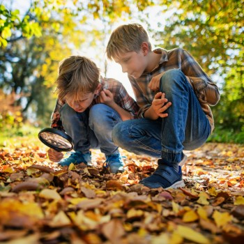 Actividades de otoño para Preescolar, Infantil y Primaria en el colegio