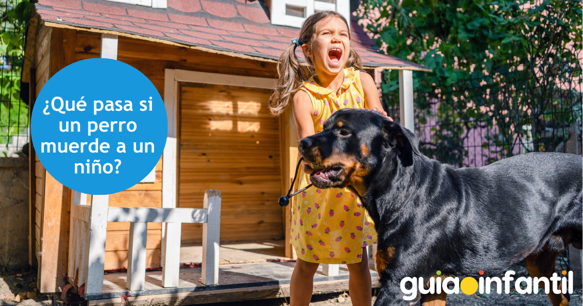 Qué hacer cuando un perro muerde a un niño