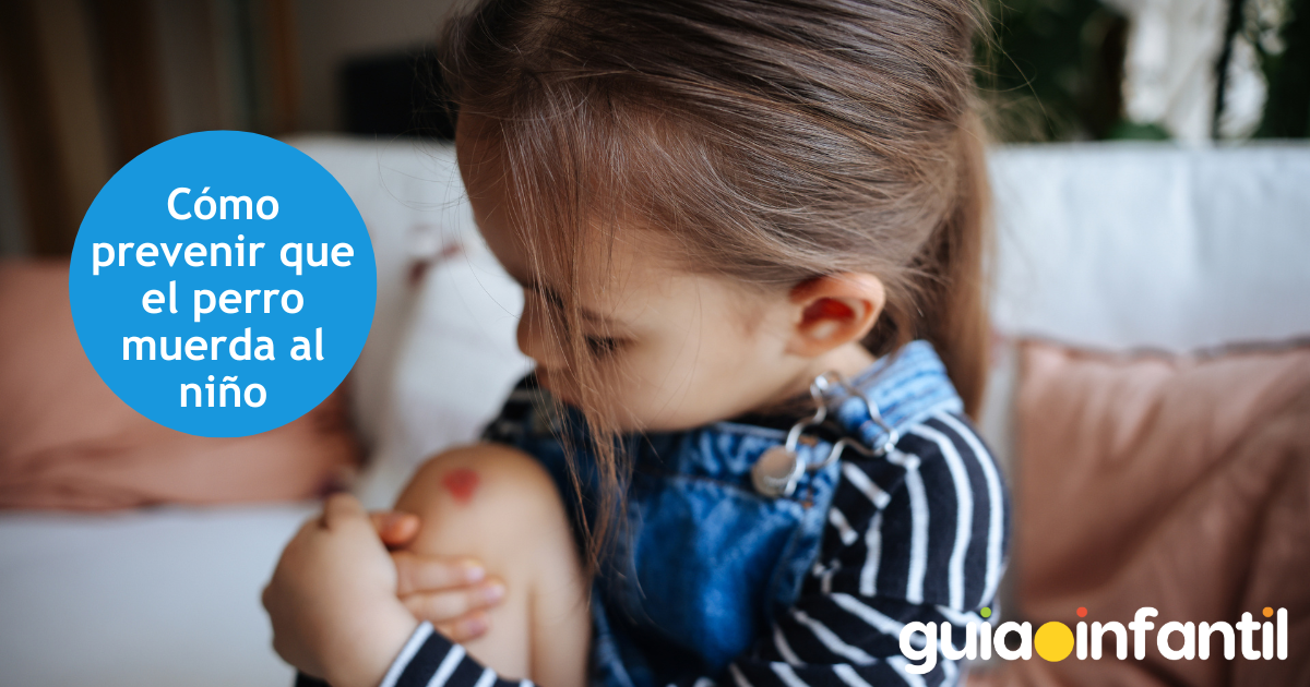 Cómo prevenir que el perro muerda al niño