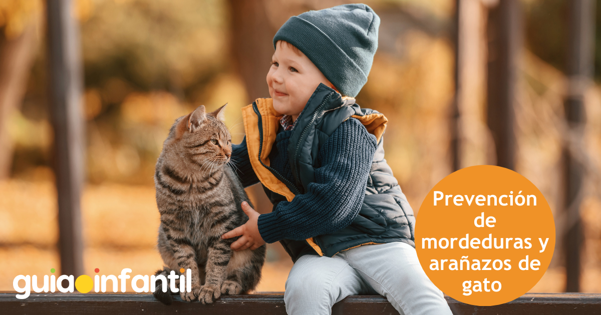 Prevención de mordeduras y arañazos de gato