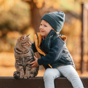 Cómo tratar las mordeduras de gato en los niños para prevenir infecciones