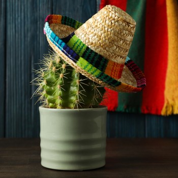 Grito de Dolores - Historia y resumen fácil de explicar para niños