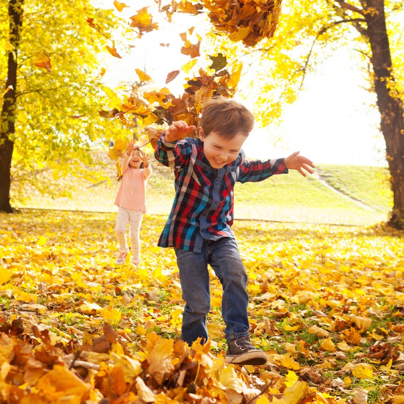 42 frases de otoño para niños y familia. ¡Bienvenido, otoño!