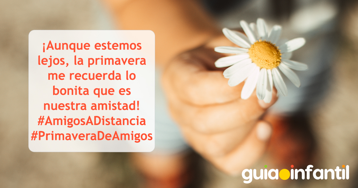 Mensaje de primavera para un amigo a distancia