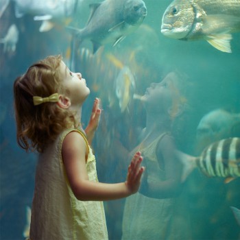 101 frases cortas de animales para niños para sacar su fuerza interior