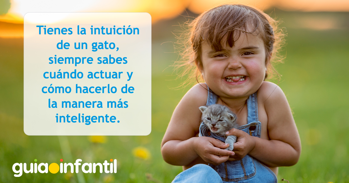 Mensaje de gatos para niños