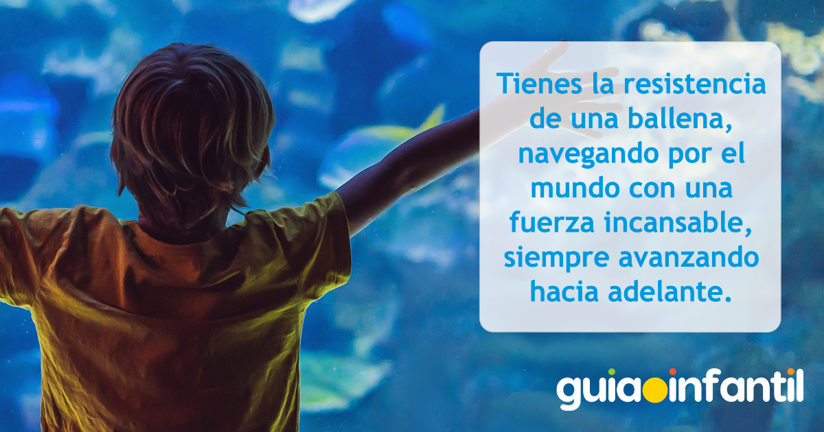 Frase de ballena para niños