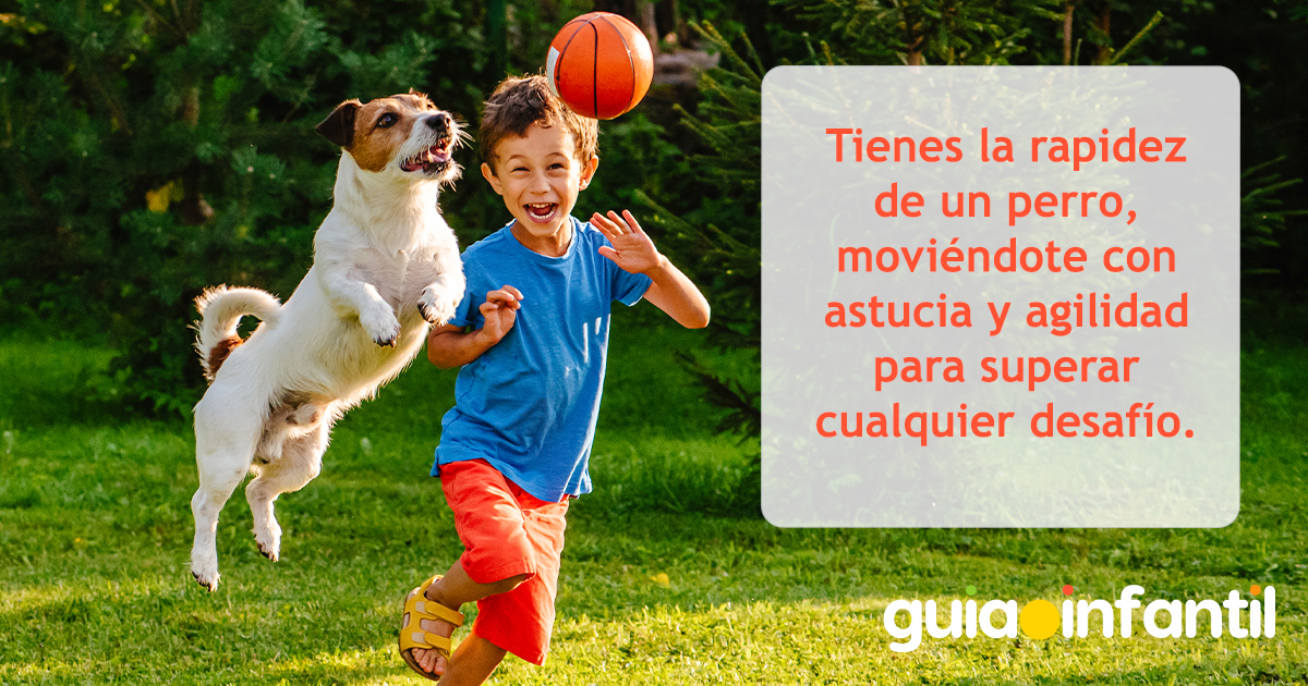 Frases de perro para niños