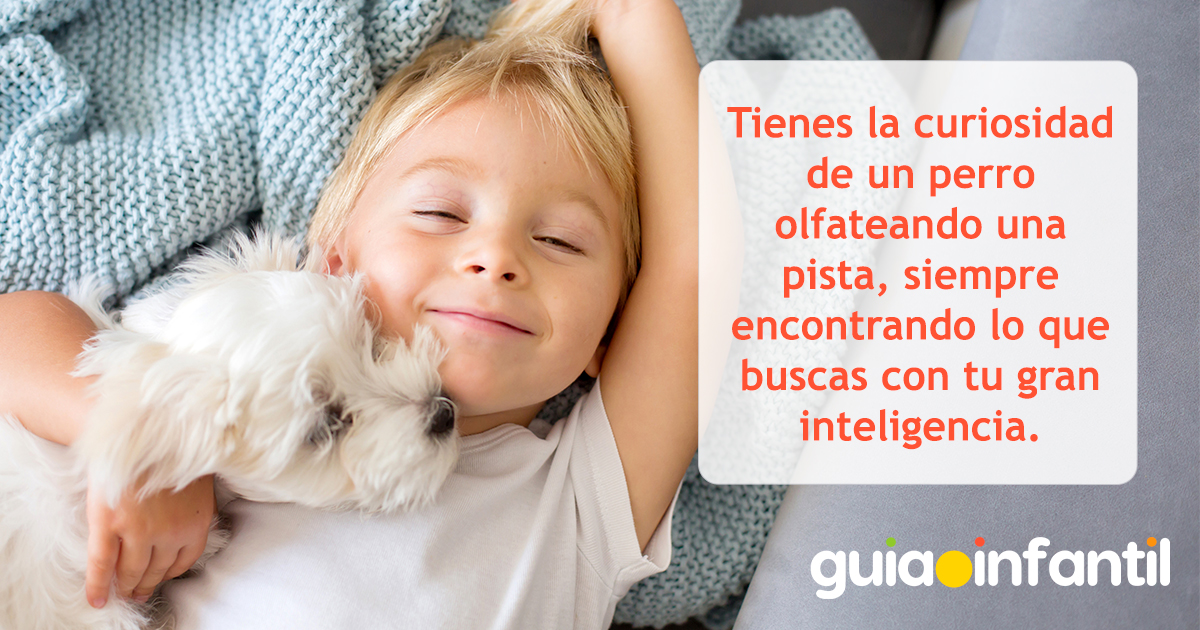 Frases de perro curioso para niños
