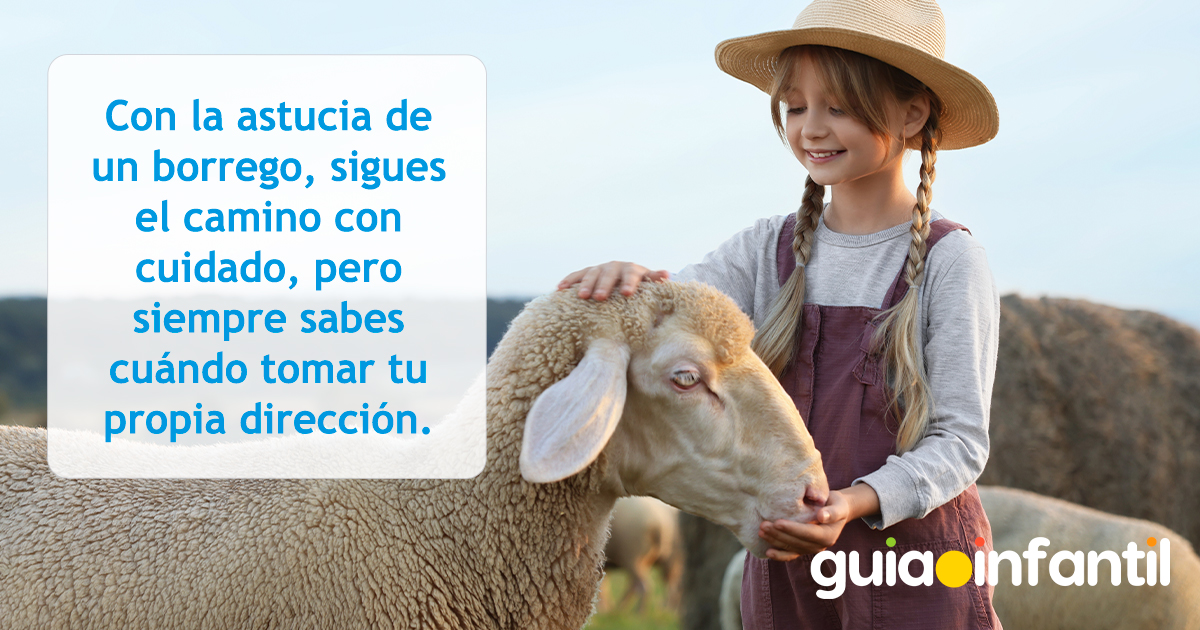 Frases de borregos para los niños