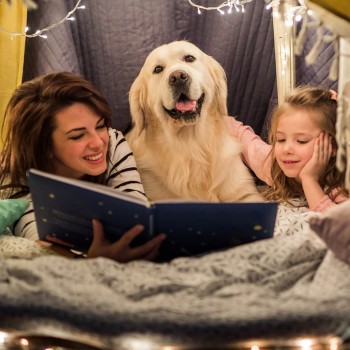 Cuentos infantiles de animales - Los cuentos cortos favoritos de los niños