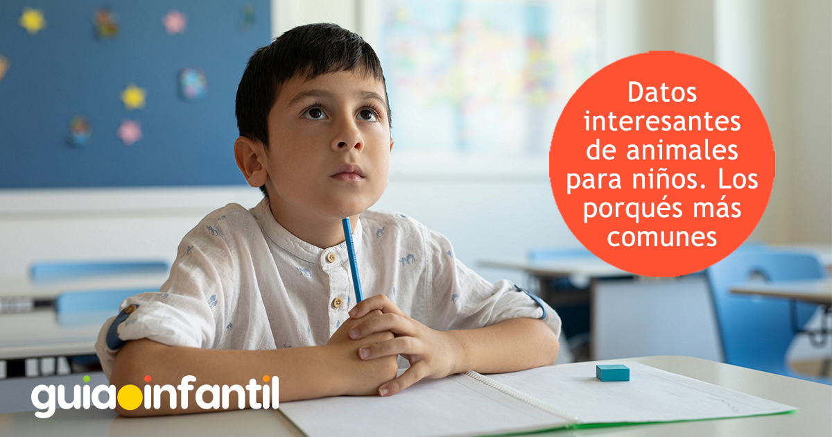 Datos interesantes de animales para niños