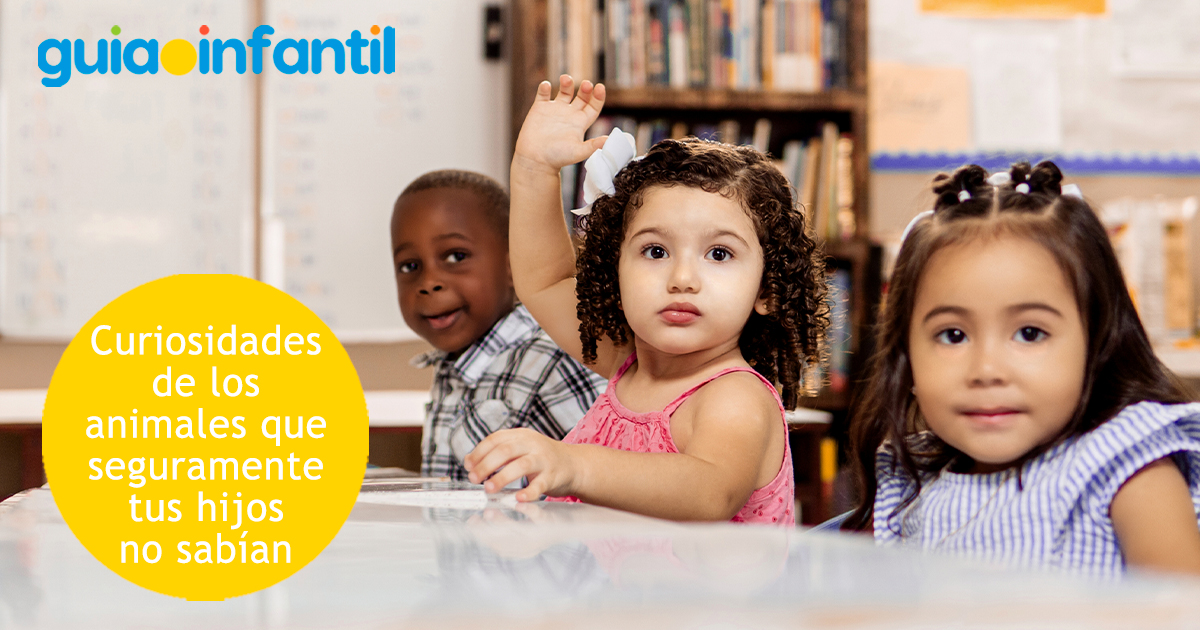 Curiosidades de los animales para niños