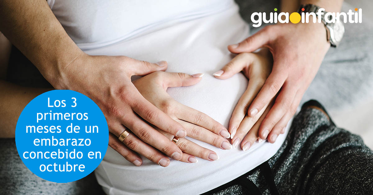 primer trimestre embarazo