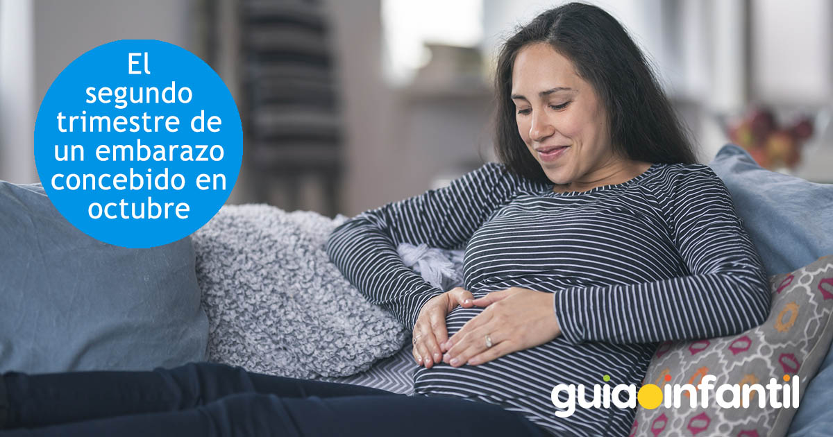 segundo trimestre de embarazo