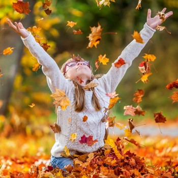 Refranes cortos del mes Noviembre