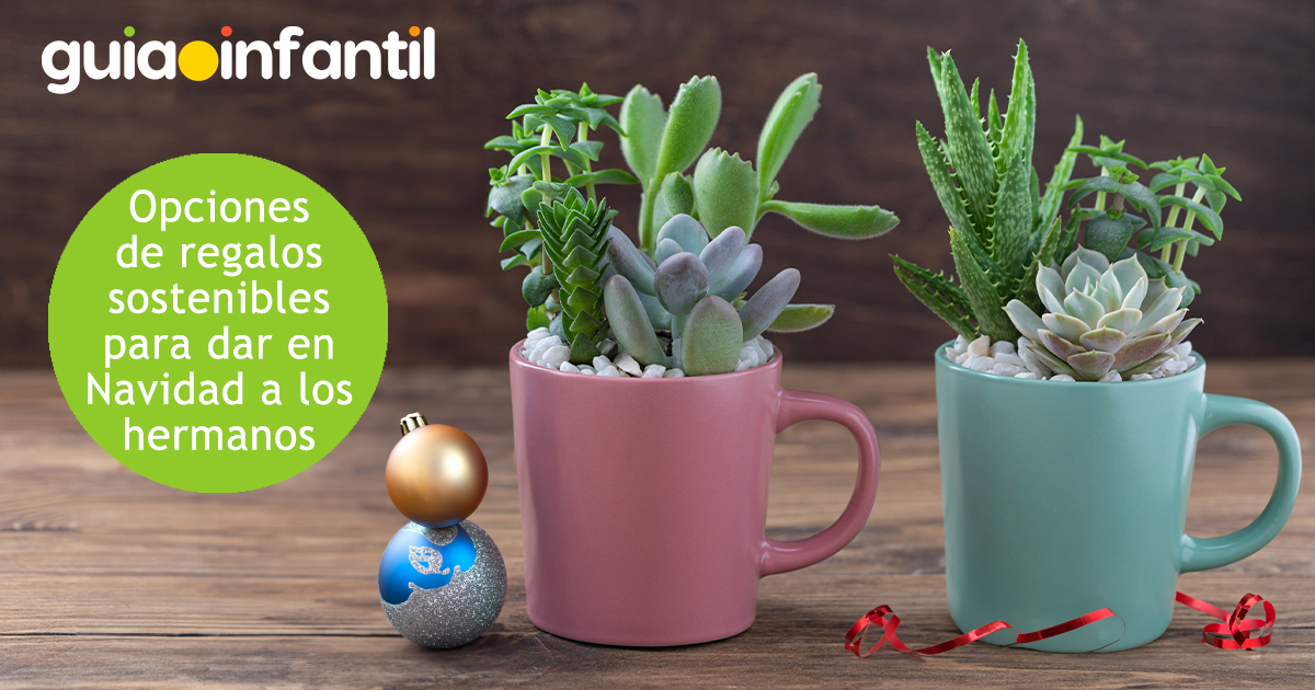 Regalos de Navidad para los hermanos