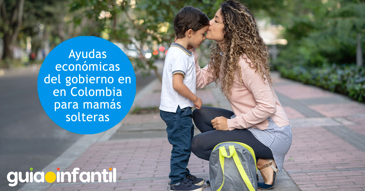 Ayudas del gobierno colombiano