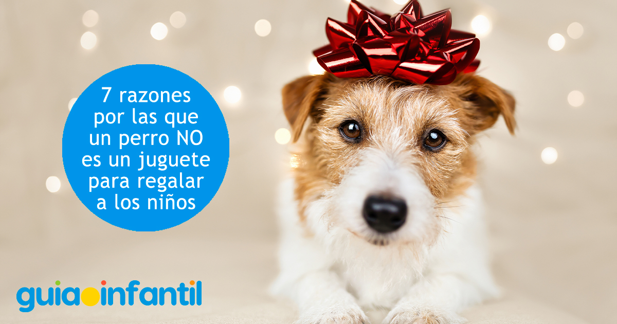 Por que debes evitar regalar un perro como juguete a tus hijos