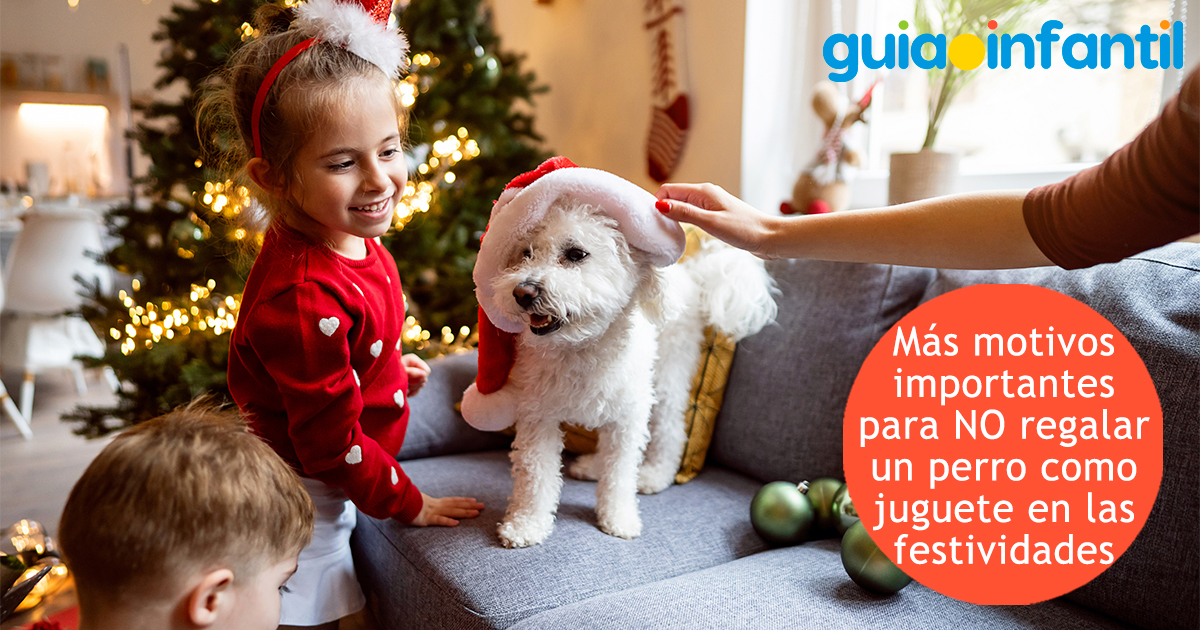 Motivos importantes para no regalar un perro como juguete