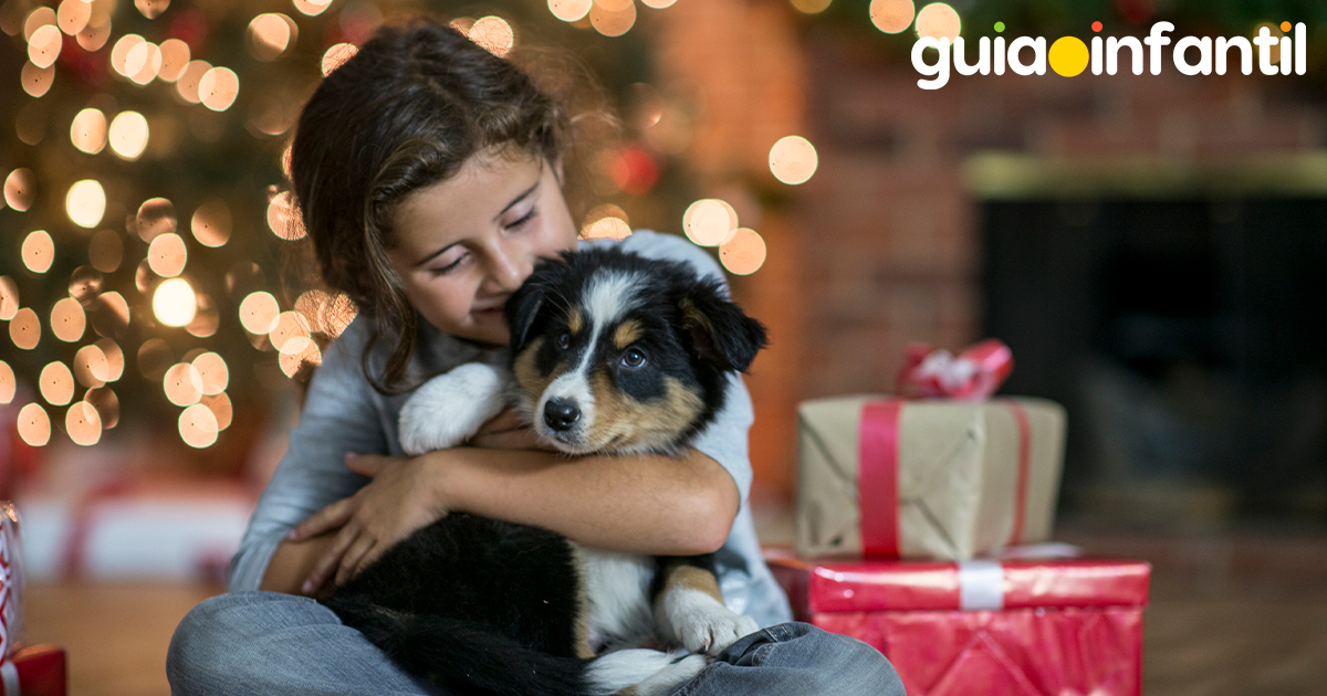 NO debes regalar un perro en Navidad