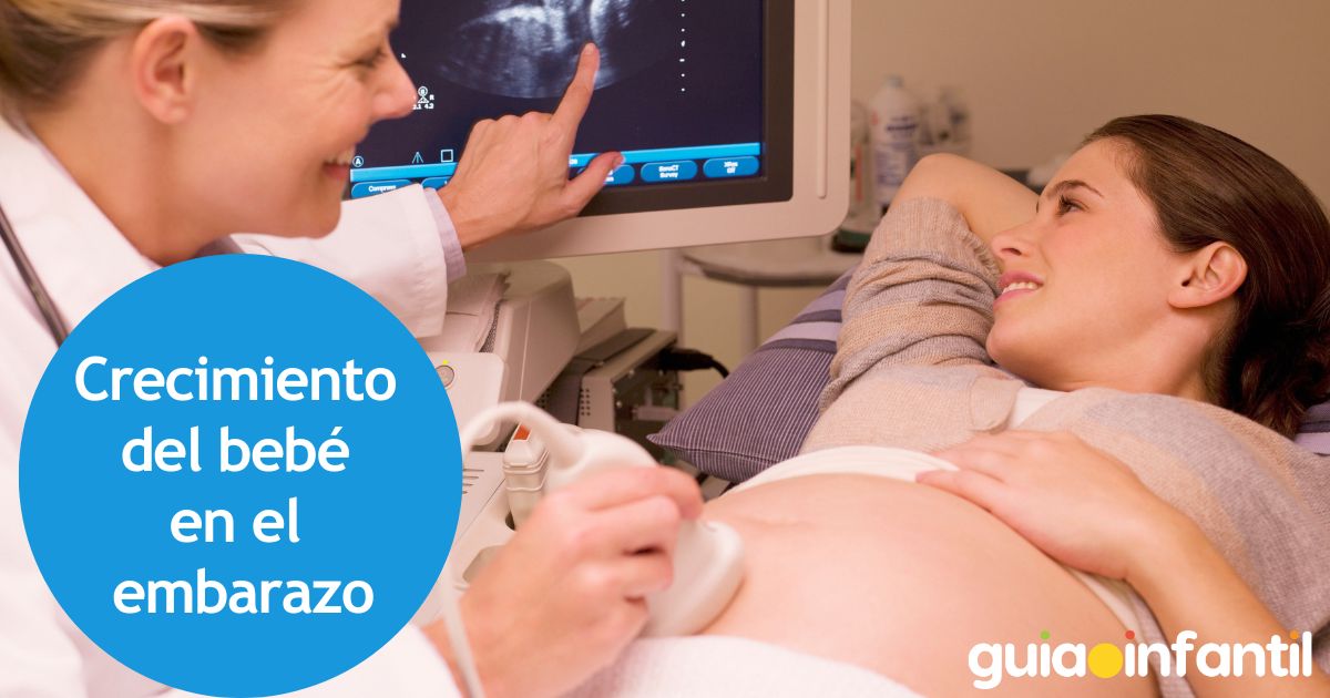 El crecimiento del bebé en el embarazo