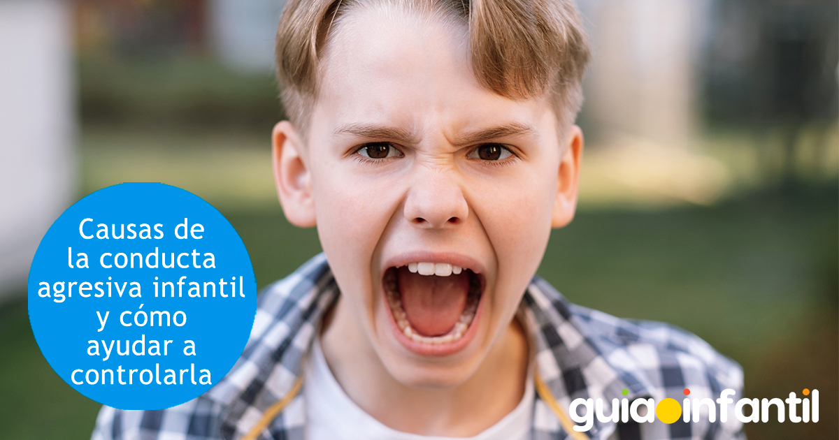 Causas de la agresividad infantil