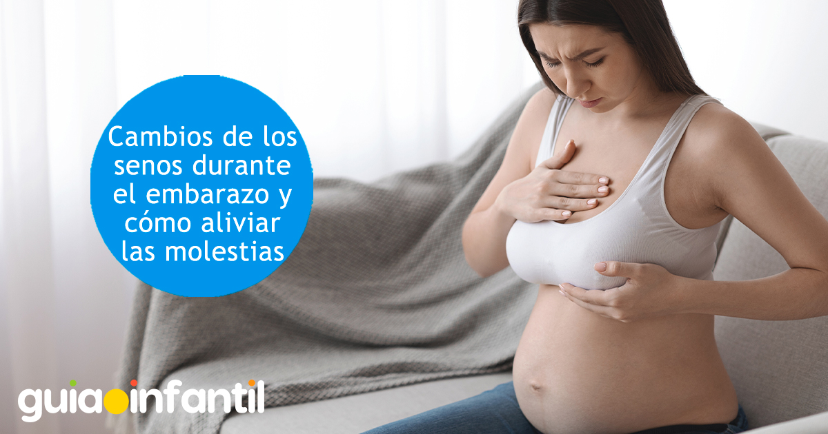 Cambios de los senos en el embarazo