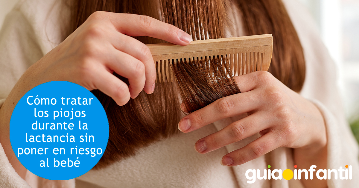 Piojos durante el amamantamiento