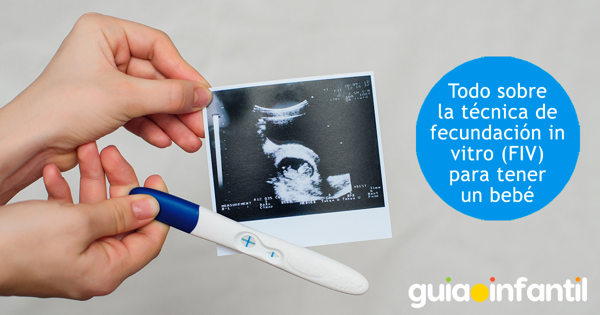Todo sobre la fecundación in vitro