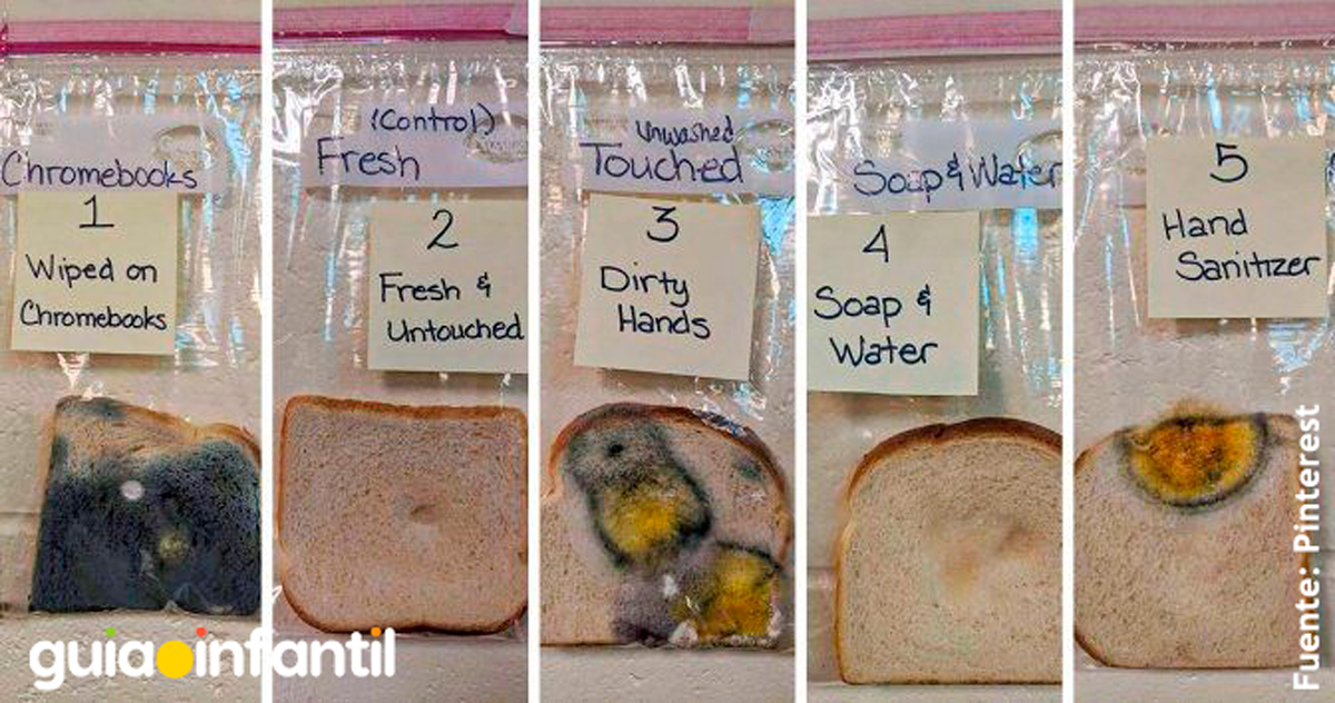 Experimento de pan para niños