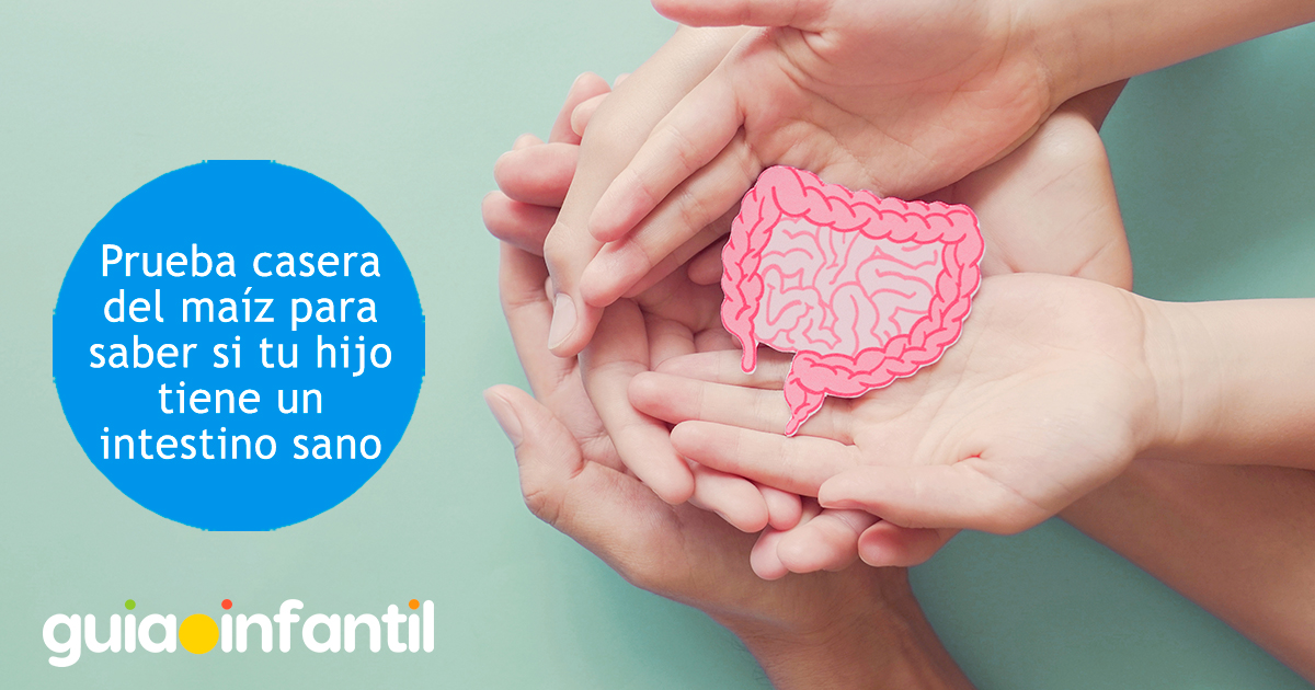 Prueba casera del maíz para los niños