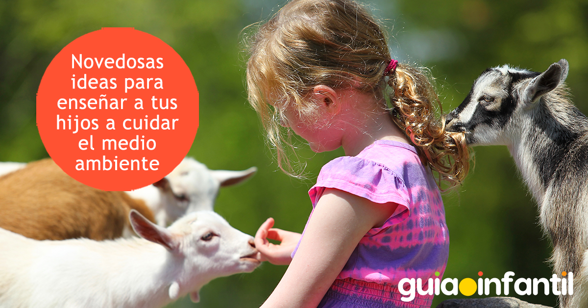 Ideas para el cuidado del medio ambiente