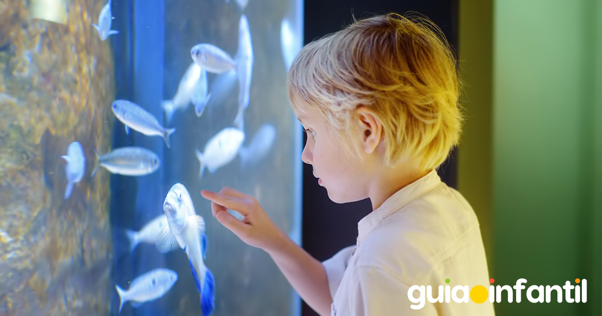 Cómo acercar a los niños a la naturaleza