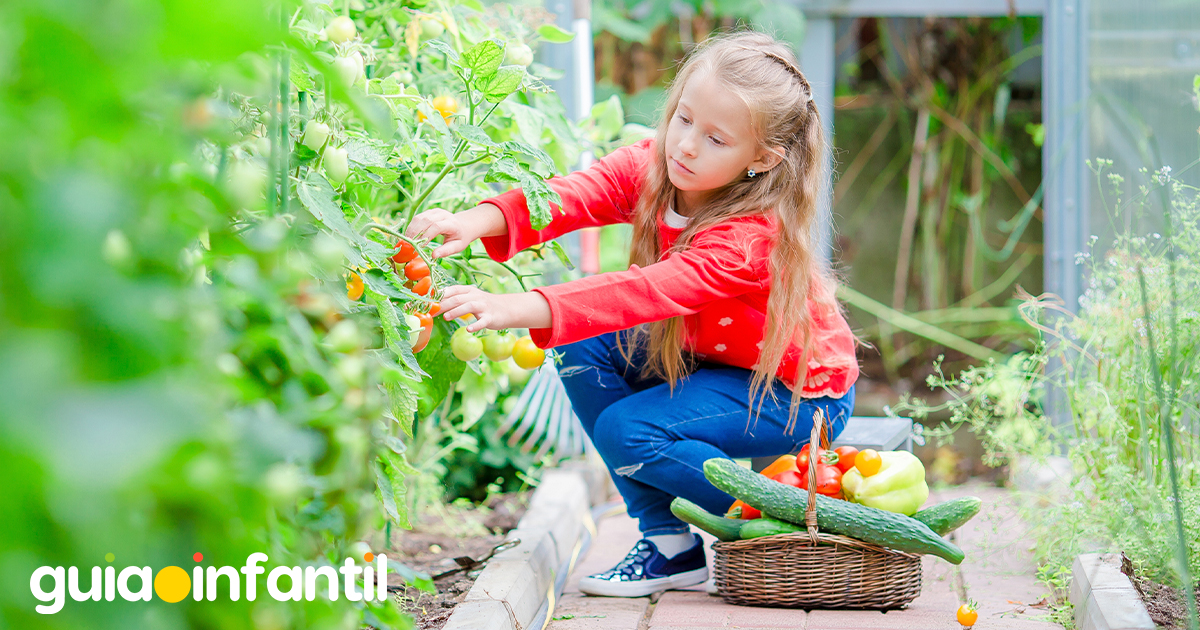 Huertos urbanos para los niños