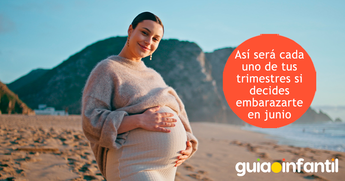 Qué esperar de cada trimestre del embarazo