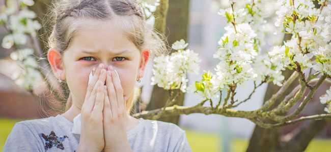 Conjuntivitis alérgica en la infancia